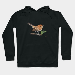 O’ahu ‘Elepaio, Hawai’i Hoodie